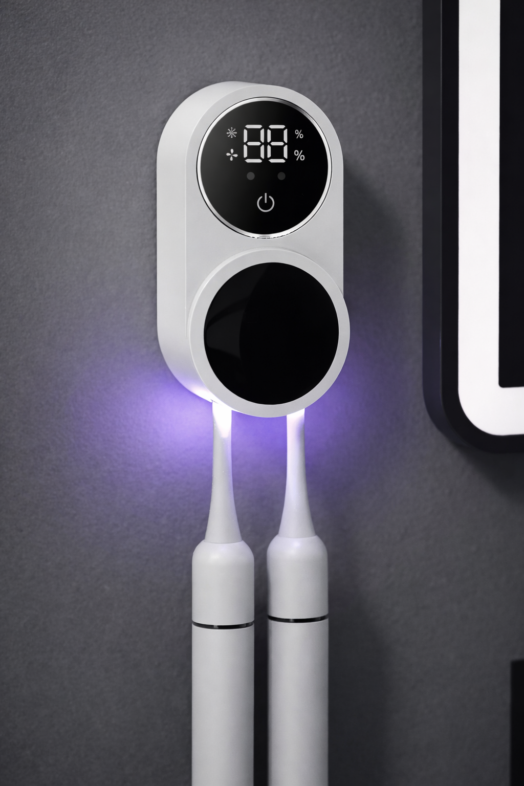 Toothbrush Sterilizer